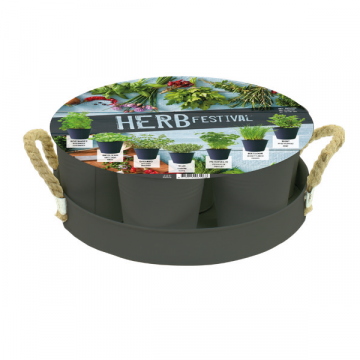 Herb Festival - 7 (Grijs)
