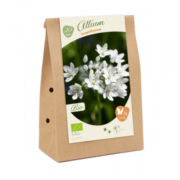 BIO - Allium Neapolitanum per 20