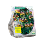 Kievitsbloemen