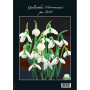 Witte Galanthus