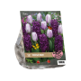 Urban Flowers - Purple rain per 12