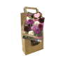 Urban Flower Lovers - Sparkling Music per 3