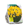 Narcis Carlton