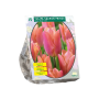 Tulipa Salmon Prince, Enkel Vroeg per 10