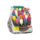 Hyacinth, Mix per 9