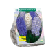Hyacinth Mixed Blue per 9
