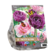 Pretty in Pink Urban Flower Lovers