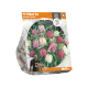 Fritillaria Meleagris Mixed