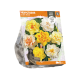 Narcissus Double Mixed

