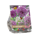Urban Flowers Mixed Bubbles 