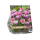 Royal Ribbons Urban Flower Lovers