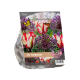 Urban Flowers - Flowerart per 15