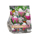 Urban Flowers - Spring Feelings per 15