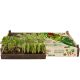 Vegetable Garden Crate
