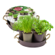 Herb Festival - 6 (Taupe) 