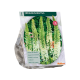 Eremurus Brutus per 1