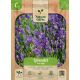 Lavendel Echte Spijk