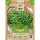 Oregano Doste
