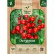 Cherrytomaat Red Cherry