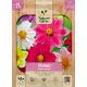 Dahlia Mignon mengsel