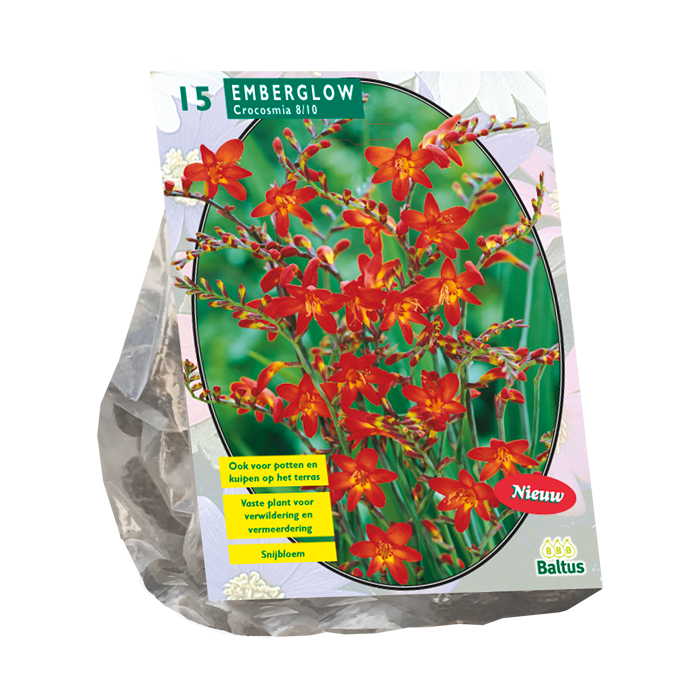 Crocosmia Emberglow per 15 Baltus