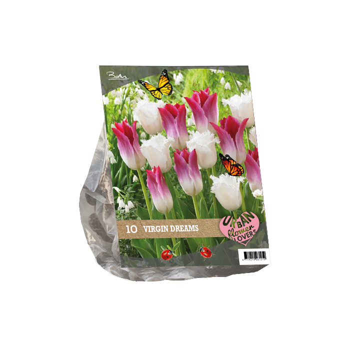 Urban Flowers Virgin dreams per 10 Baltus