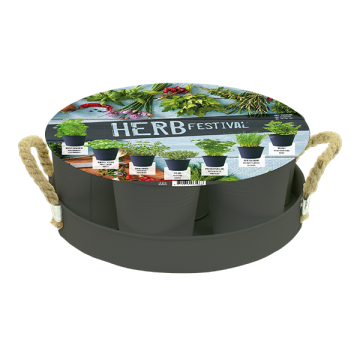 Herb Festival - 6 (Grijs)