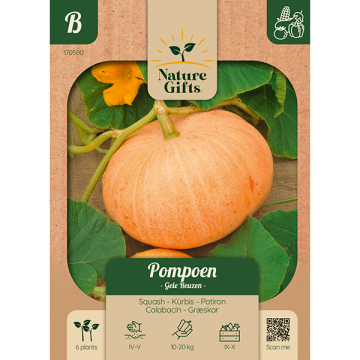 Pompoen Gele Reuzen 