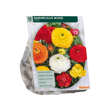 Ranunculus Mixed
