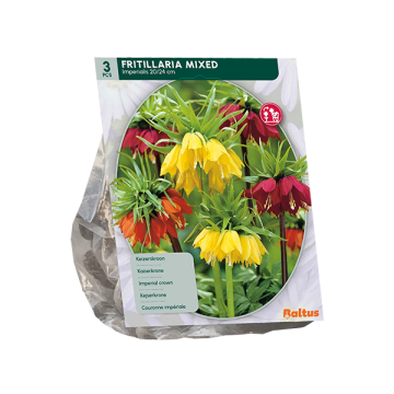 Fritillaria Imperialis Mixed per 3