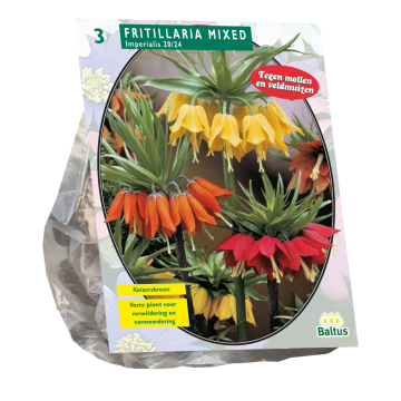 Fritillaria Imperialis Mixed per 3