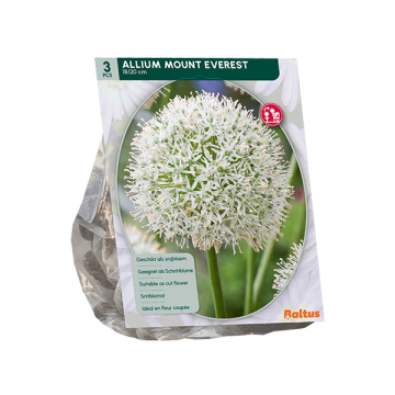 Allium Mounth Everst