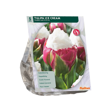 Tulipa Ice Cream per 5