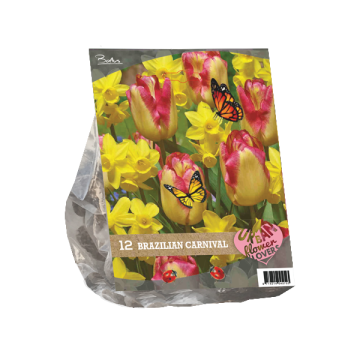 Brazilian Carnival Urban Flower Lovers