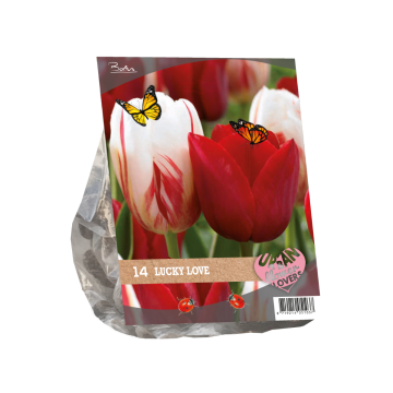 Lucky Love Urban Flower Lovers