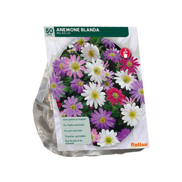 zakje bloembollen anemone mixed