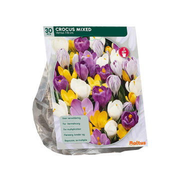 Crocus Mixed