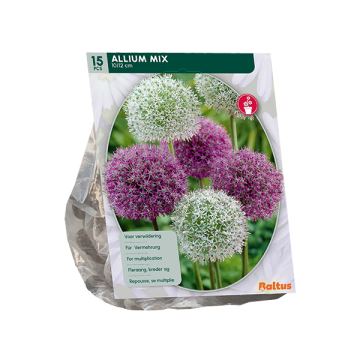 Allium Mix 