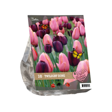 Twilight Zone Urban Flower Lovers