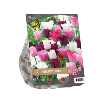 Fantastic Four Urban Flower Lovers