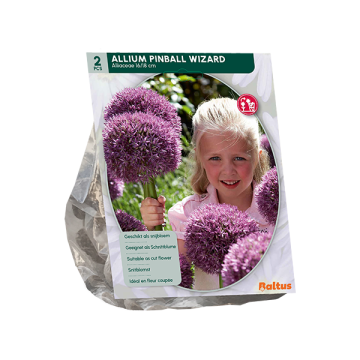 Allium Pinball Wizard