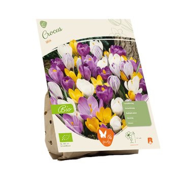 Crocus Mix