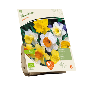 BIO - Narcis Large Mix per 7