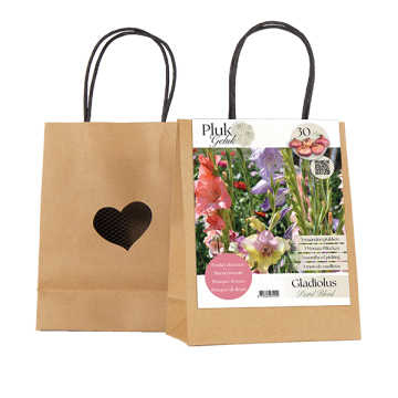 PLUKGELUK | Gladiolen per 30 pastel coloured