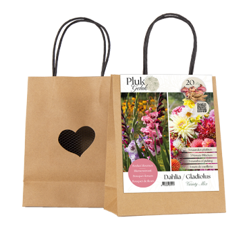 PLUKGELUK | Dahlia / Gladiolus mix per 20