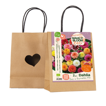 BIO MAKE IT BLOOM | Bees & Butterflies Dahlia mix