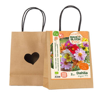 BIO MAKE IT BLOOM | Bees & Butterflies Dahlia Mignon mix