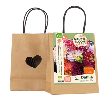 BIO MAKE IT BLOOM | Bees & Butterflies Dahlia Decoratief mix