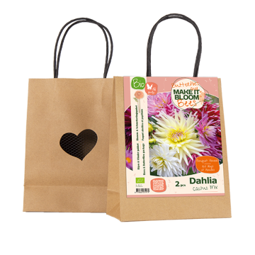 BIO MAKE IT BLOOM | Bees & Butterflies Dahlia Cactus mix