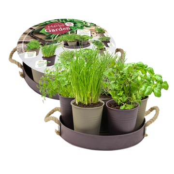 Herb Festival - 6 (Taupe) 